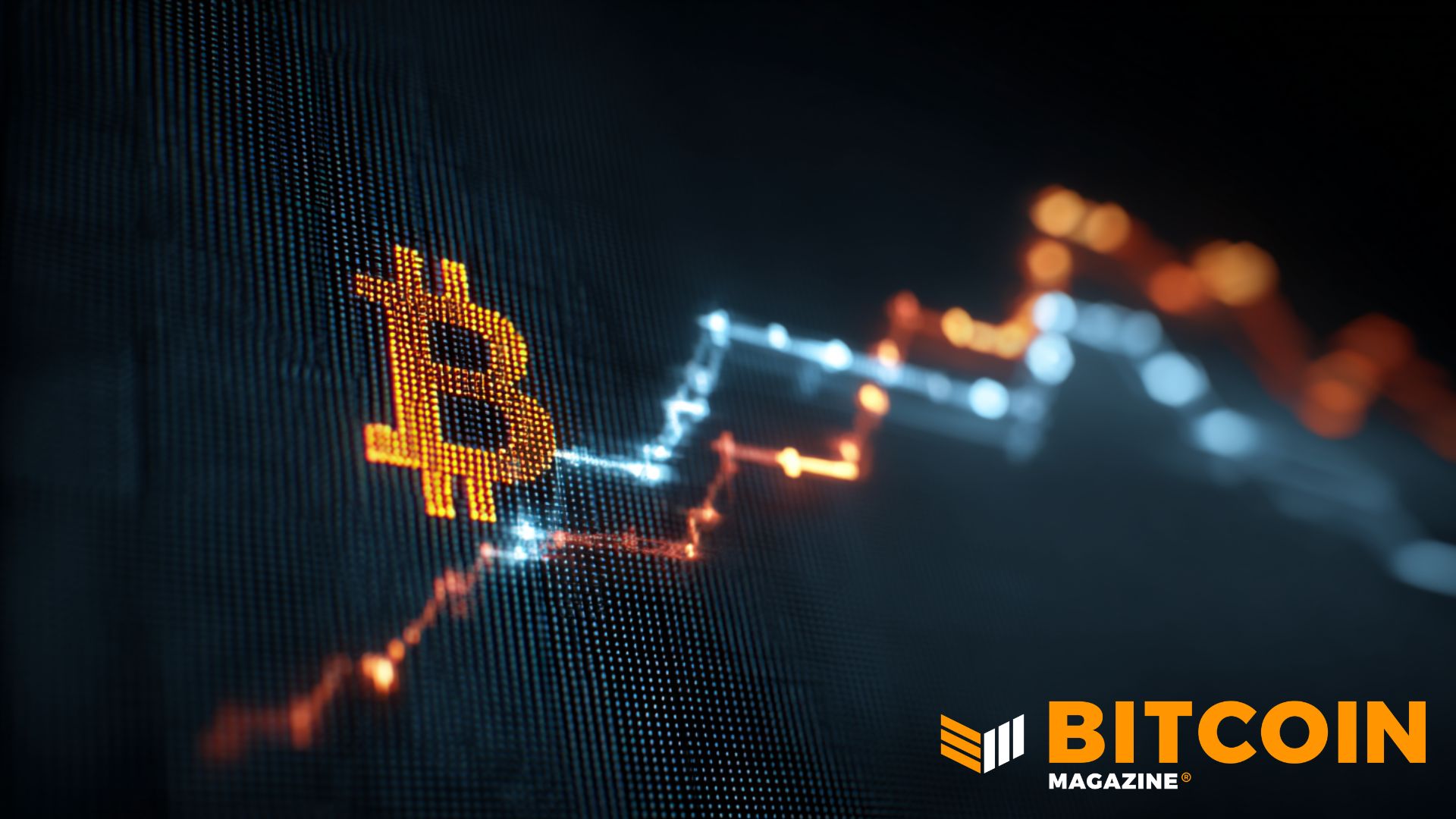 woodworking industry news updates - Cathie Wood Calls Bitcoin’s 50% Crash a “Victory” as Market Tests New Floor